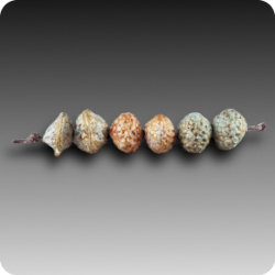 Artisan Porcelain Beads
