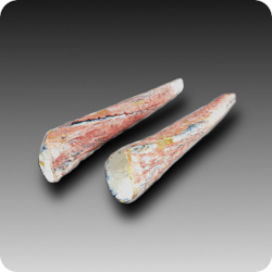 Artisan Porcelain Cones and Pods